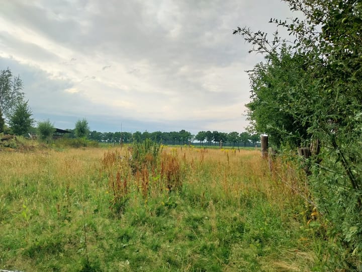 Foto 44 van Statenweg 43