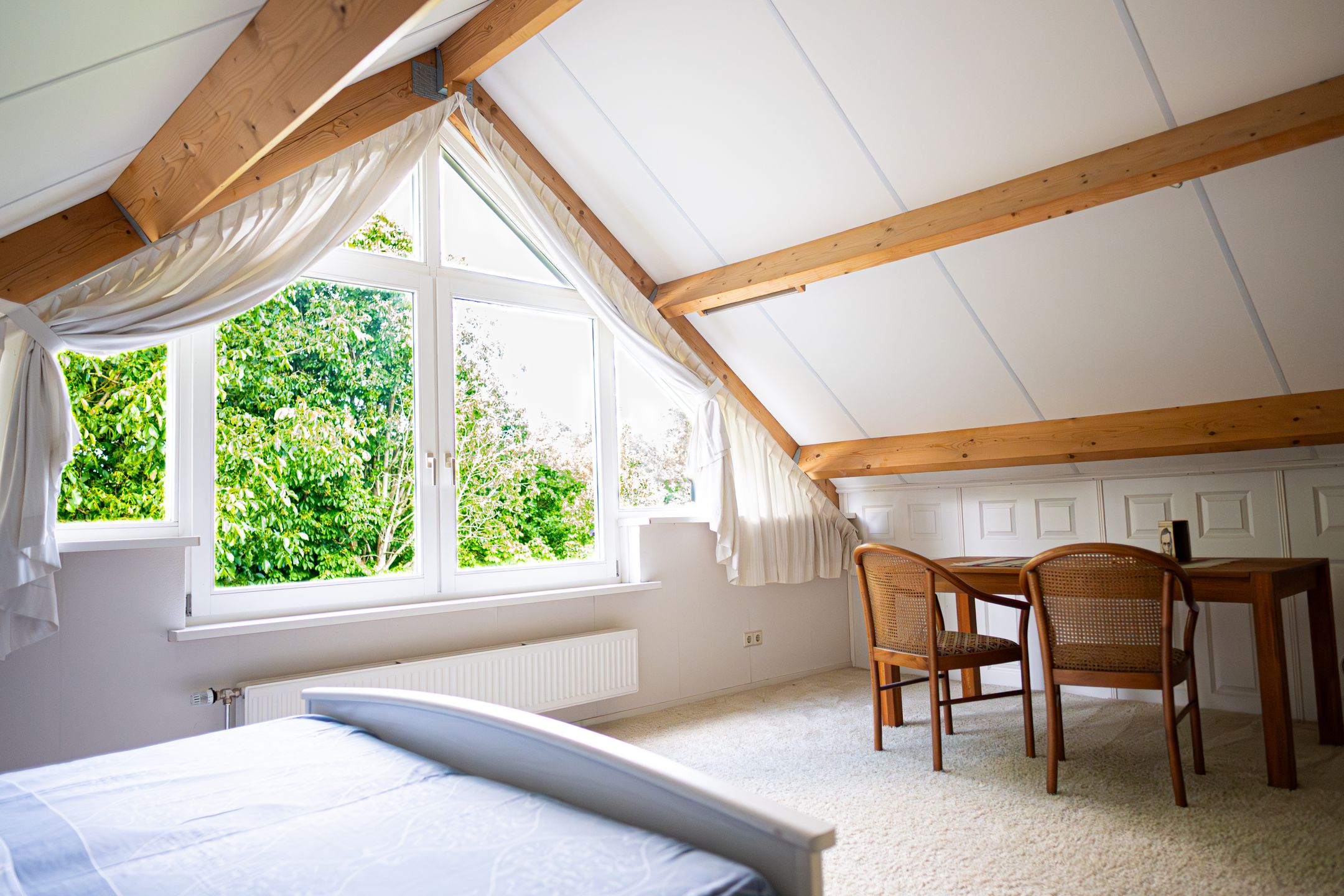 Foto 33 van De strekel 32