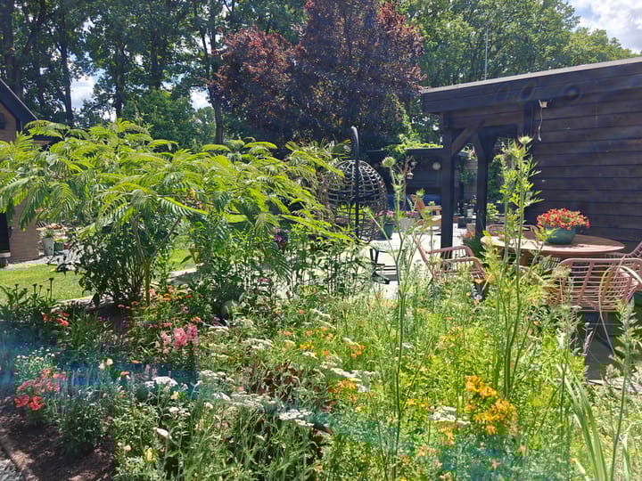 Photo 42 of Molen-Allee 36