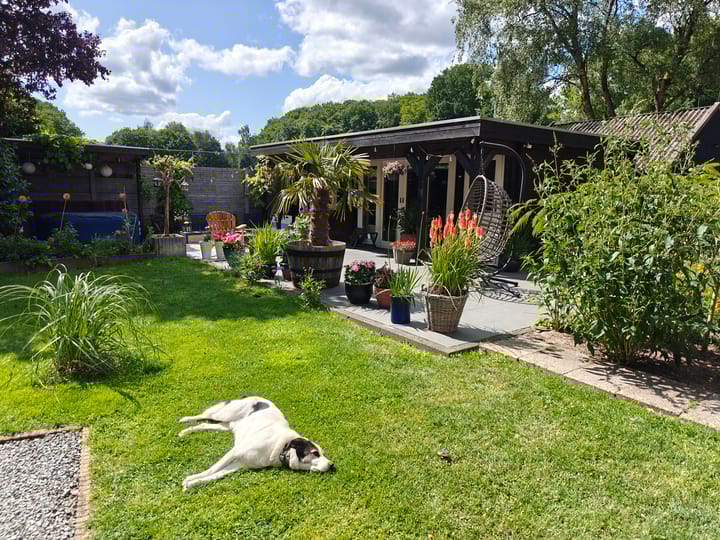 Photo 43 of Molen-Allee 36