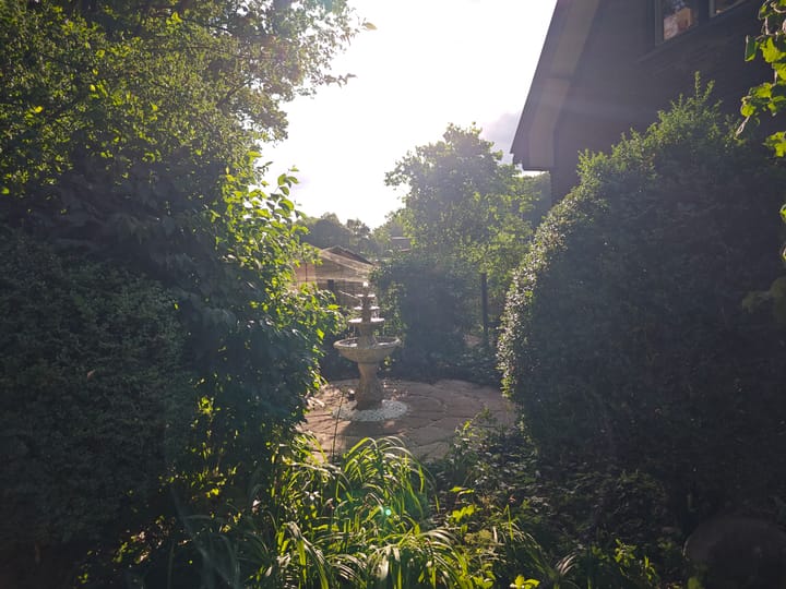 Photo 45 of Molen-Allee 36