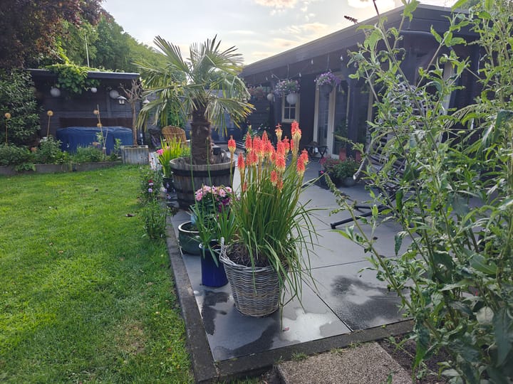 Photo 46 of Molen-Allee 36