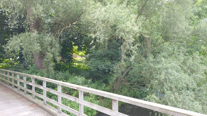 Foto 49 van Warmseweg 2