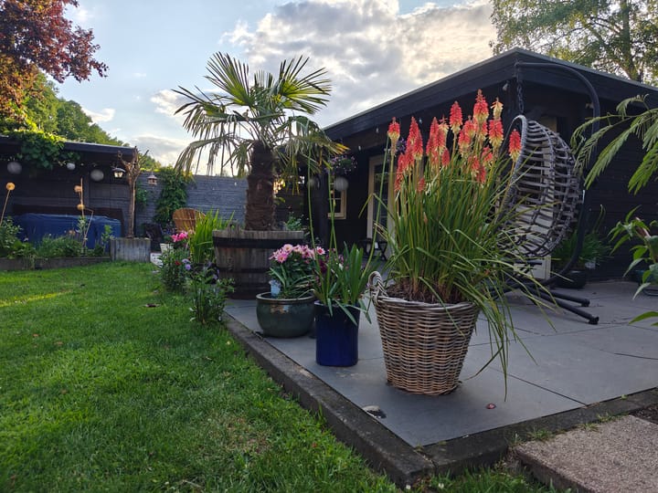 Photo 49 of Molen-Allee 36