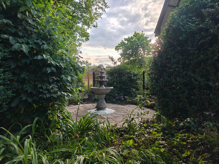 Photo 51 of Molen-Allee 36