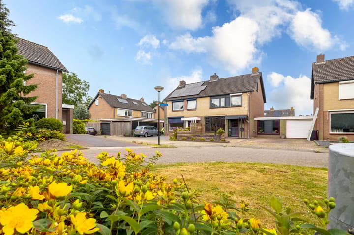 Foto 9 van Achtervliet 12