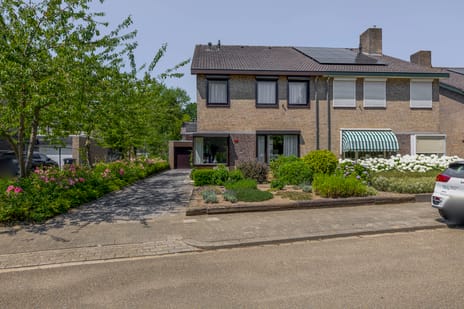 undefined main image