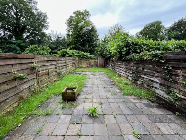 Photo 13 of Schieland 61