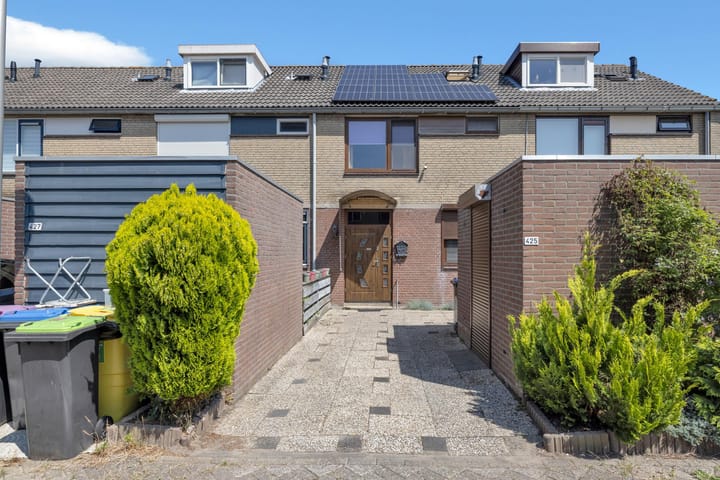 Foto 2 van Baarsveen 425