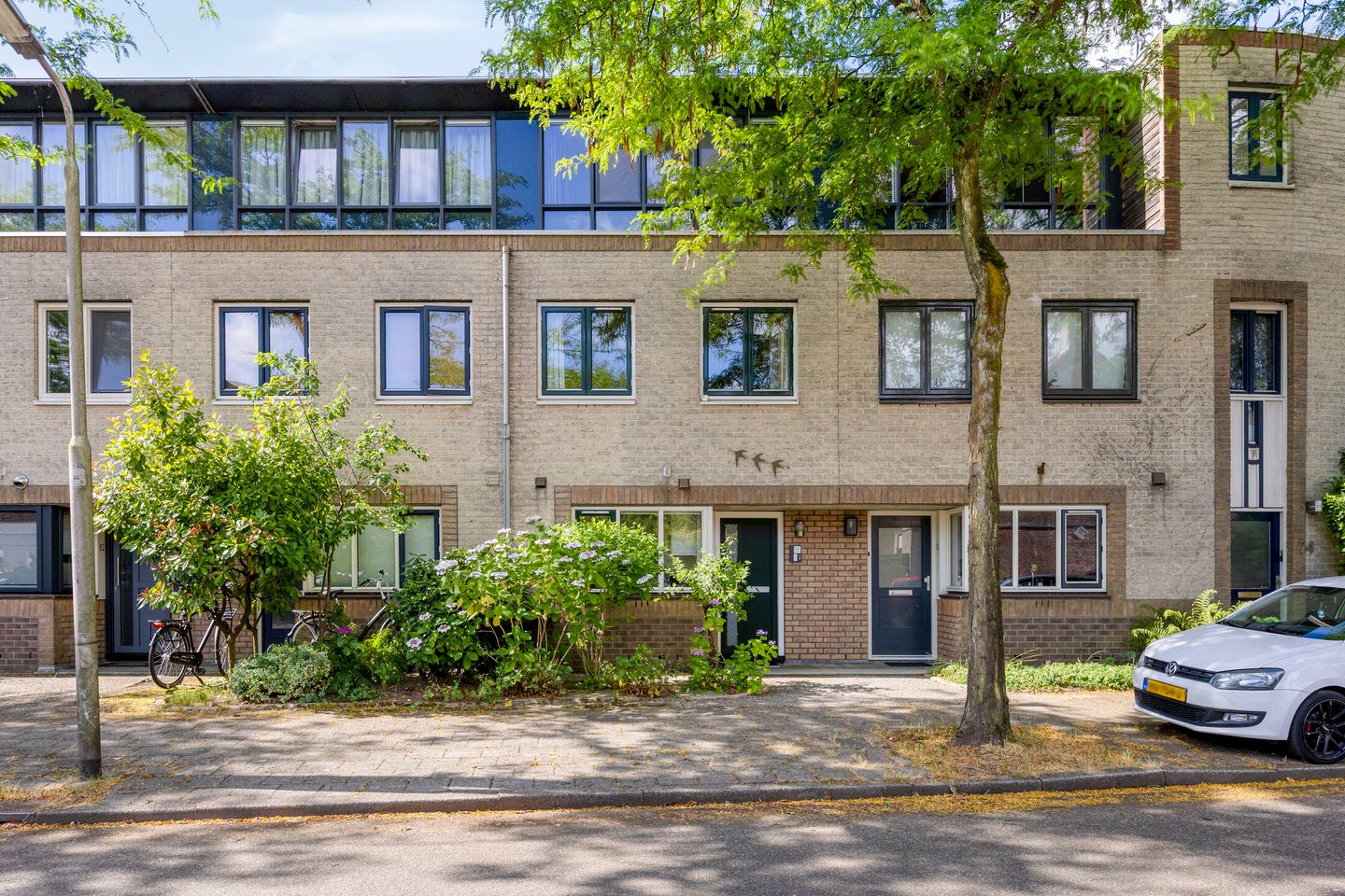 Foto 1 van Atlasvlinder 78