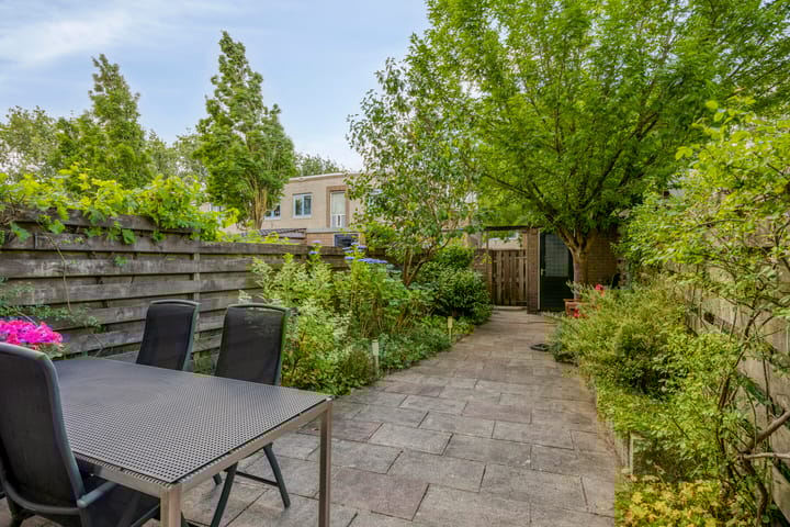 Foto 2 van Atlasvlinder 78