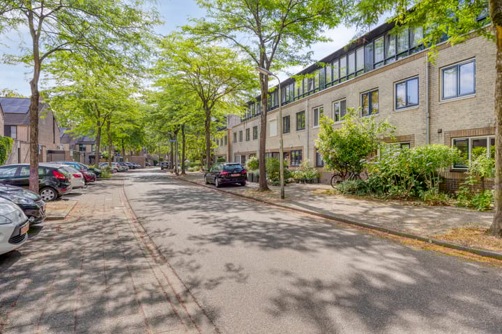 Foto 8 van Atlasvlinder 78