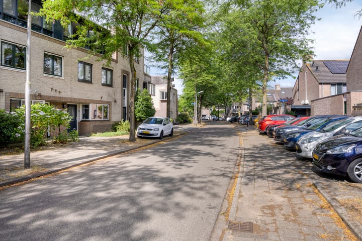 Foto 9 van Atlasvlinder 78