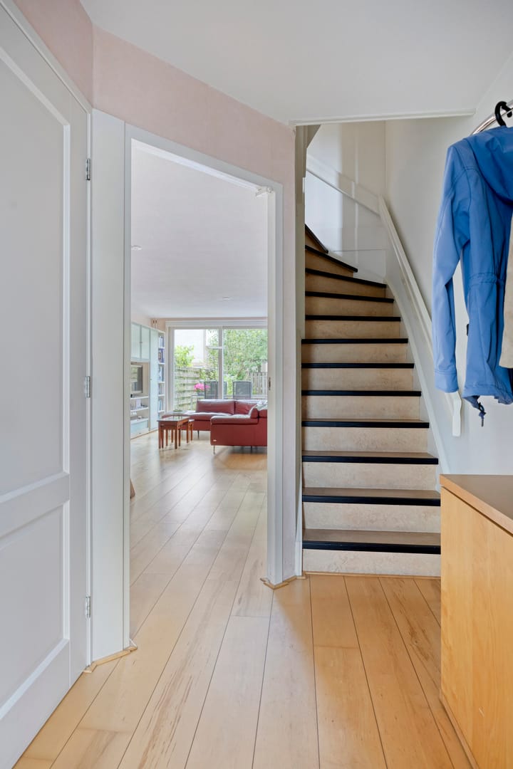 Foto 10 van Atlasvlinder 78