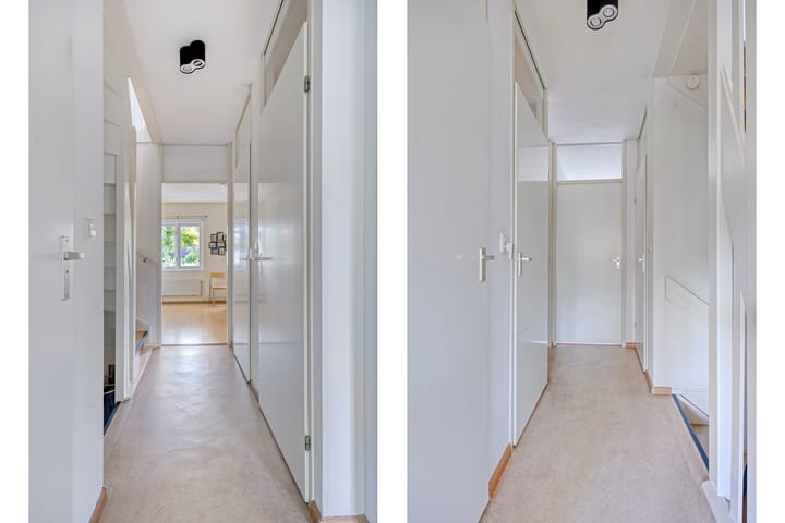 Foto 17 van Atlasvlinder 78