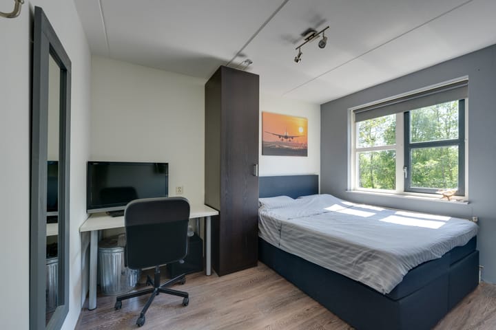 Photo 47 of Incastraat 59