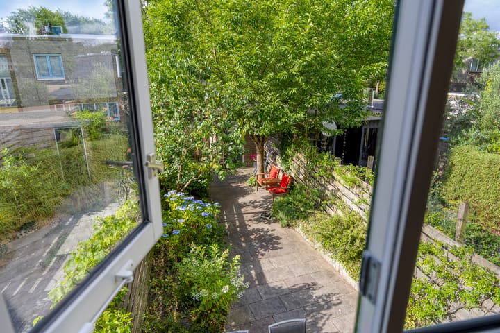 Foto 23 van Atlasvlinder 78