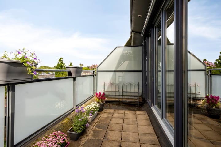 Foto 32 van Atlasvlinder 78