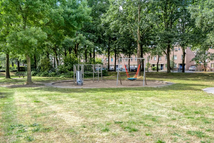 Foto 38 van Atlasvlinder 78