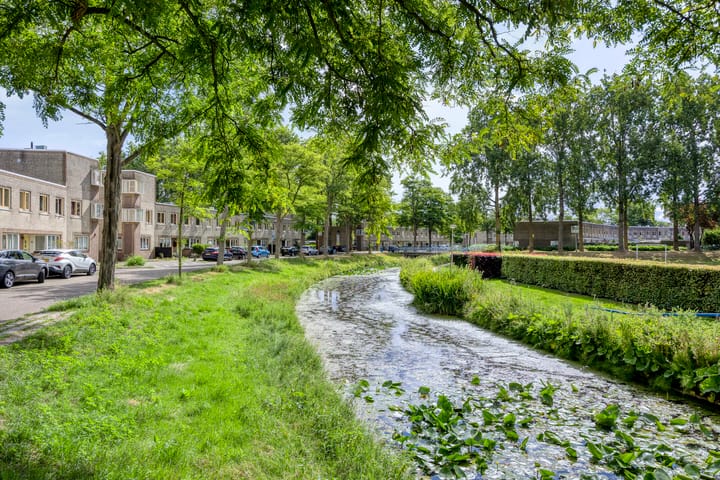 Foto 39 van Atlasvlinder 78