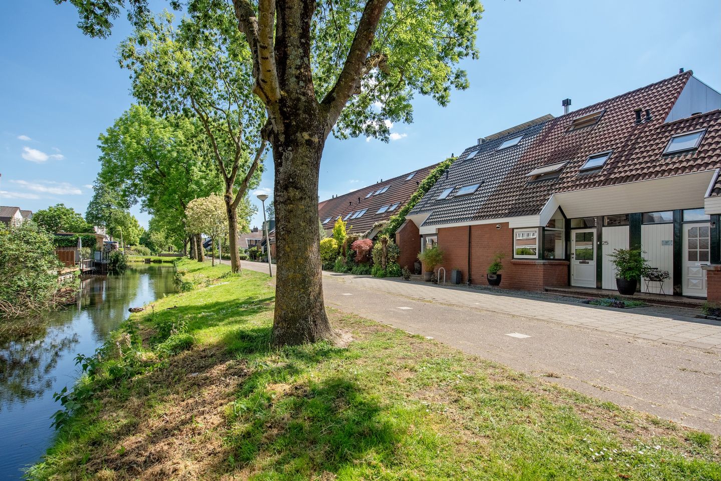 Foto 5 van Witmos 25