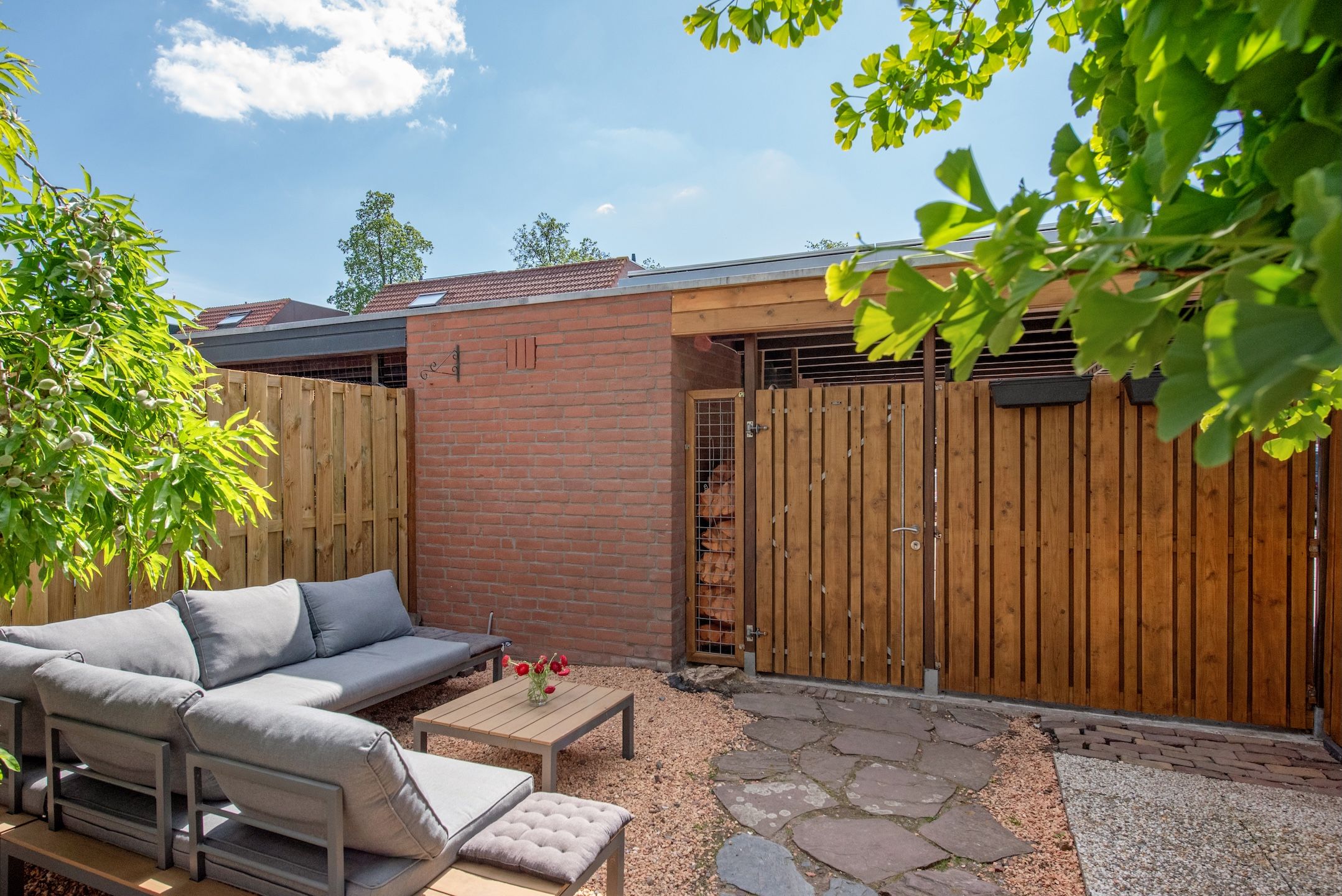 Foto 15 van Witmos 25