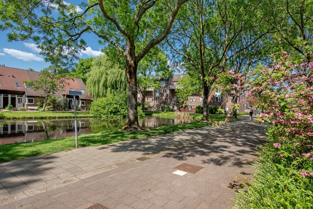 Foto 38 van Witmos 25