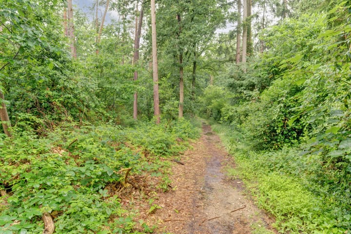 Foto 34 van Domeinlaan 13