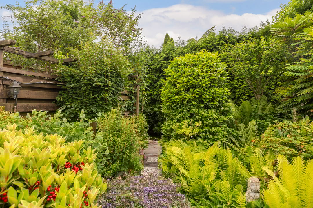 Foto 28 van Burg. Talsmaweg 15