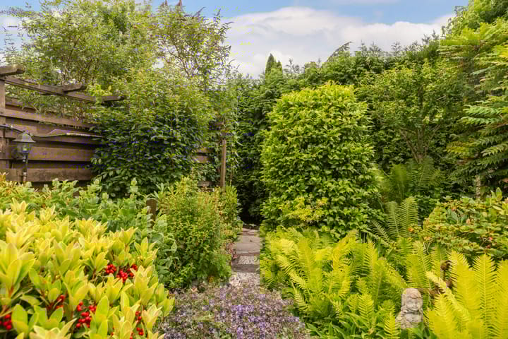 Photo 28 of Burg. Talsmaweg 15