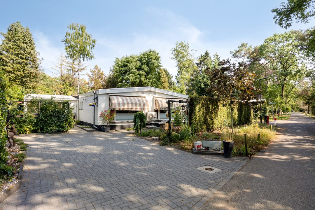 Foto 1 van Schaluinen 11-B297