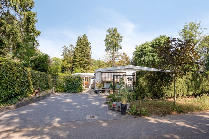 Foto 2 van Schaluinen 11-B297