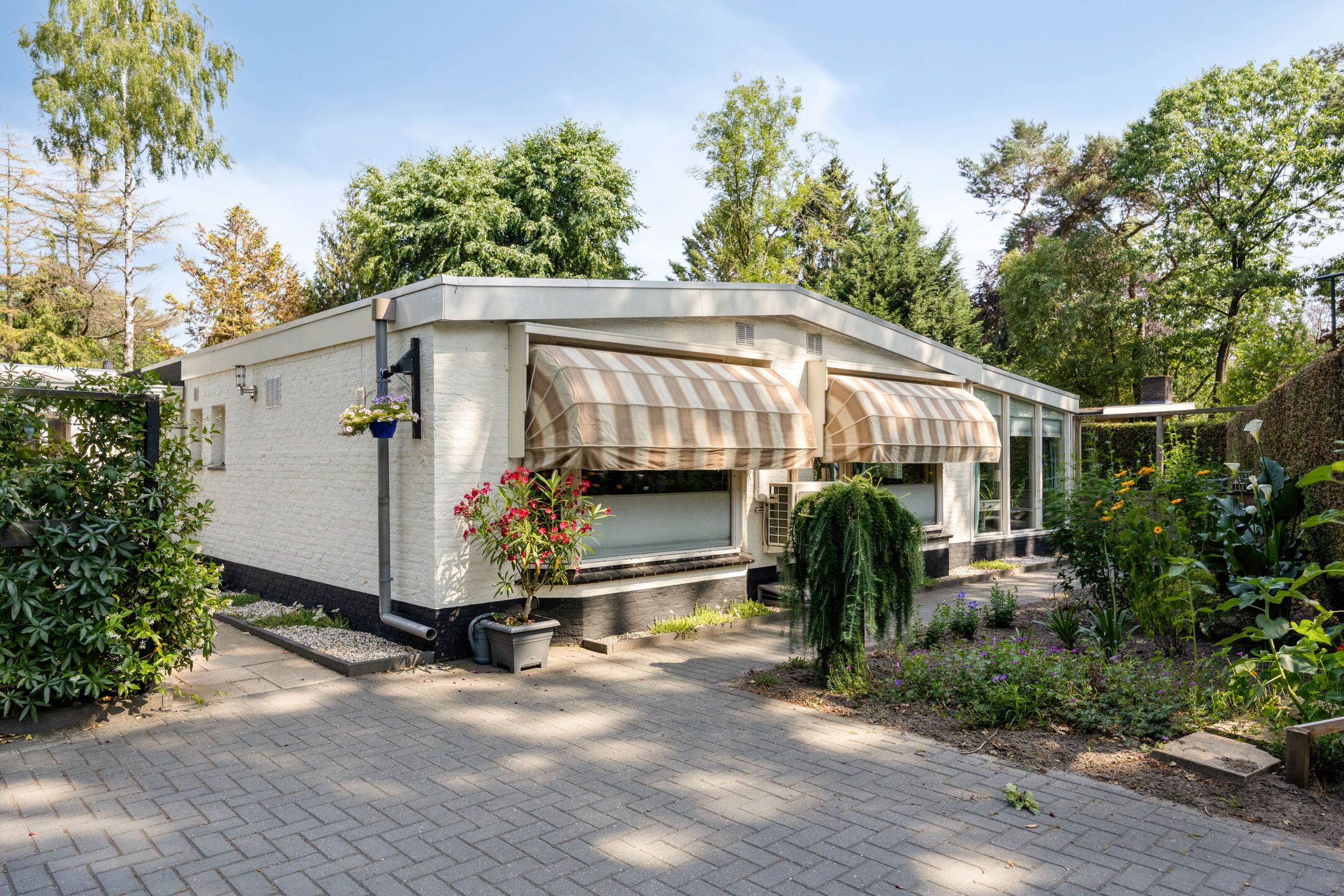 Foto 3 van Schaluinen 11-B297