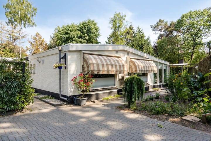 Foto 3 van Schaluinen 11-B297