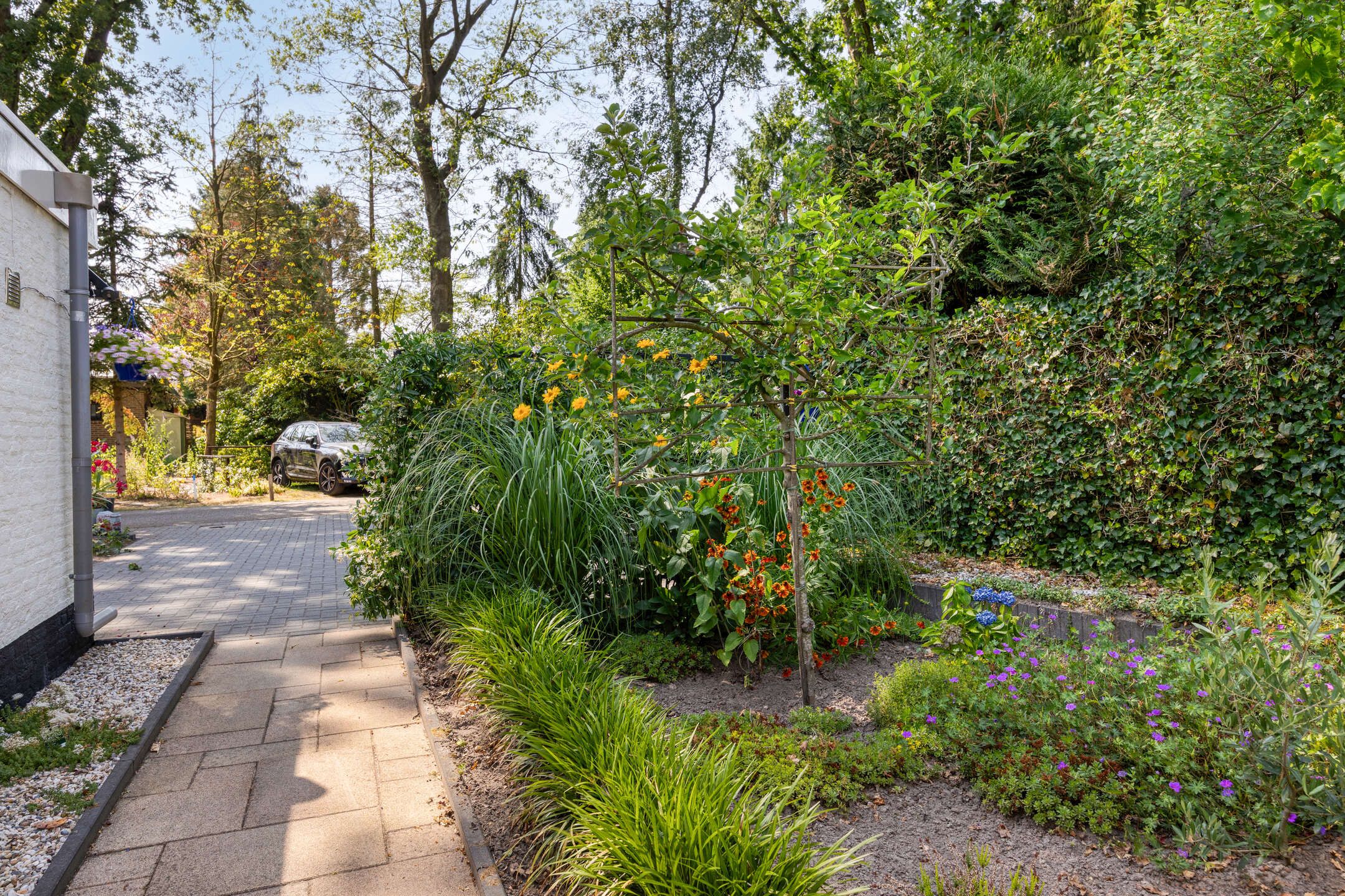 Foto 33 van Schaluinen 11-B297