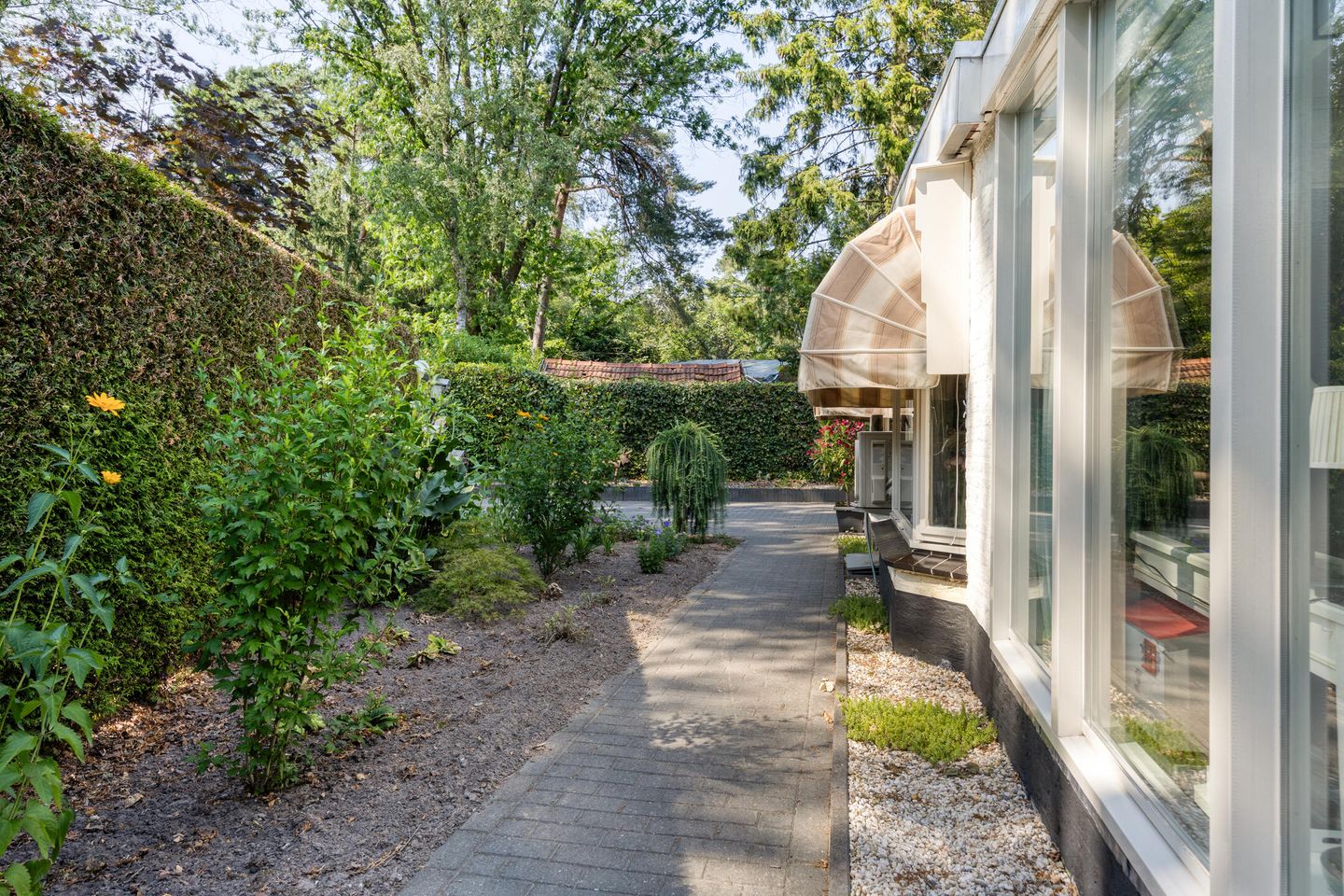 Foto 34 van Schaluinen 11-B297