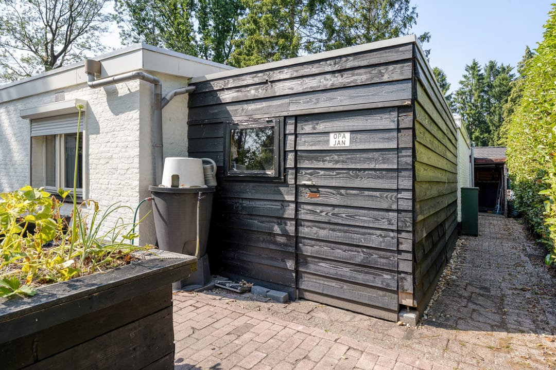 Foto 37 van Schaluinen 11-B297