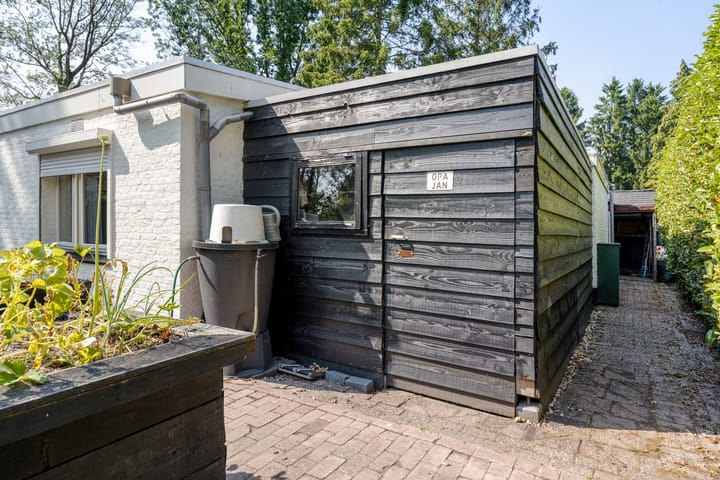 Foto 37 van Schaluinen 11-B297