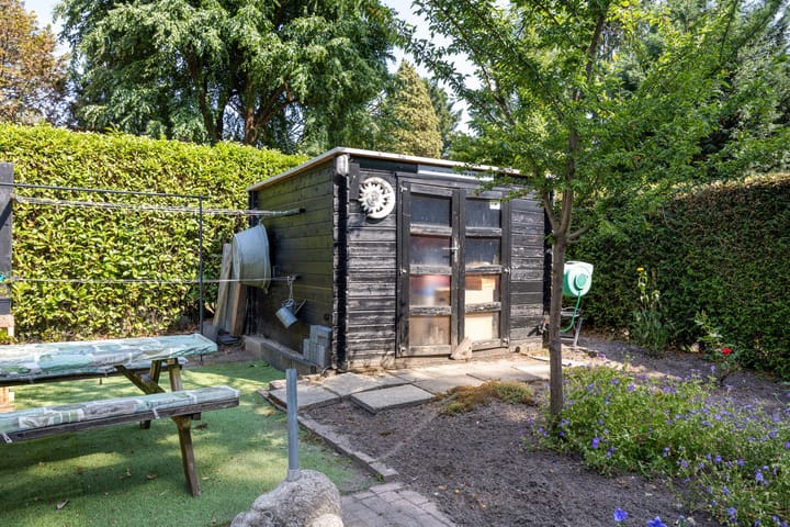 Foto 38 van Schaluinen 11-B297