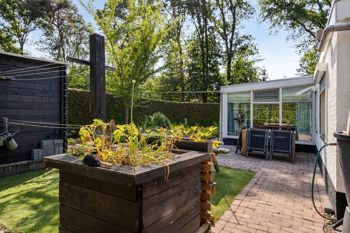 Foto 39 van Schaluinen 11-B297