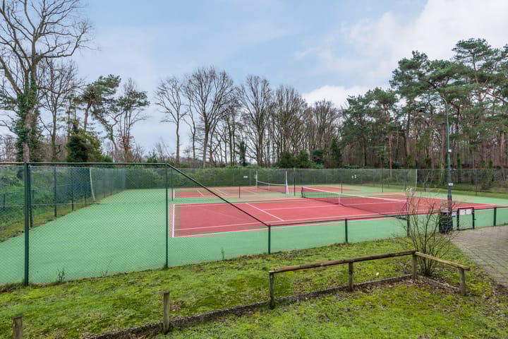 Foto 45 van Schaluinen 11-B297