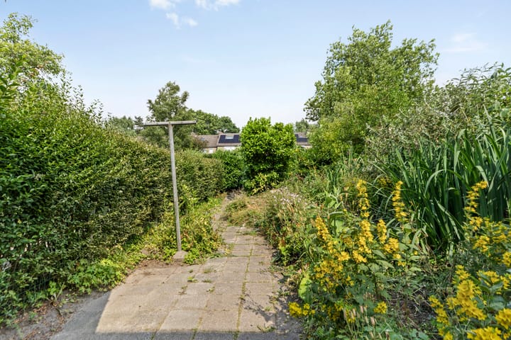 Foto 33 van de Cloese 33