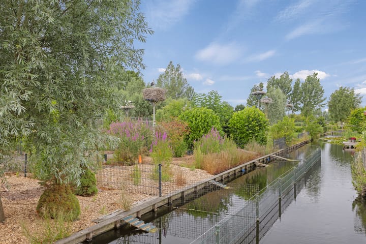 Foto 37 van Dorpsstraat 16