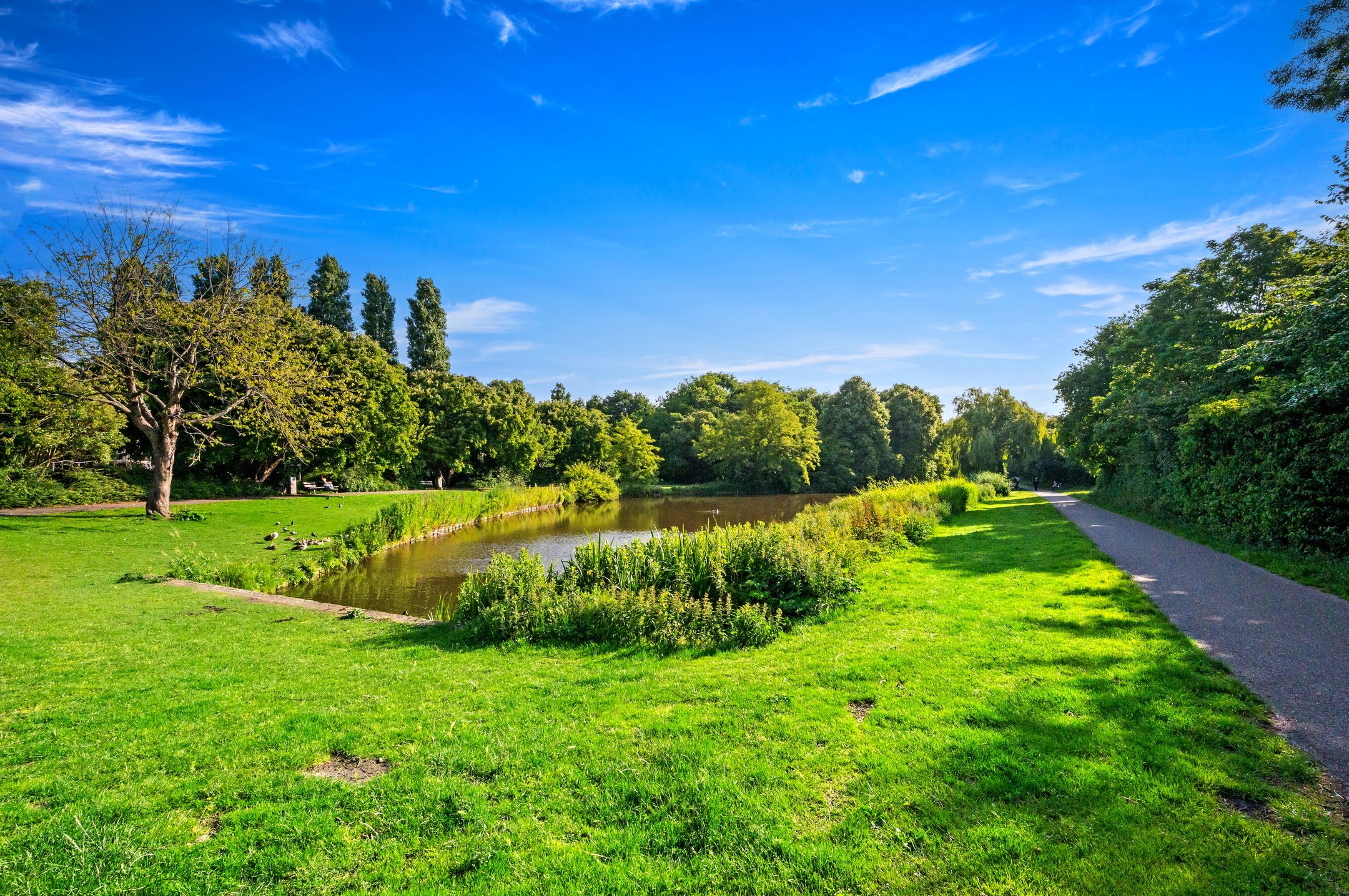 Foto 33 van Segbroeklaan 420-A