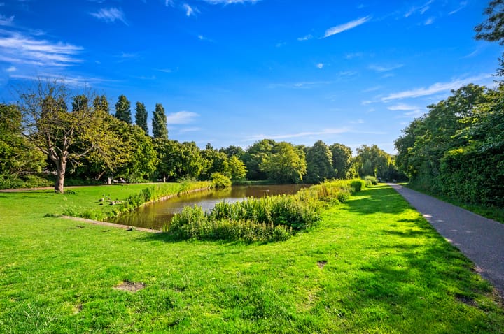 Foto 33 van Segbroeklaan 420-A