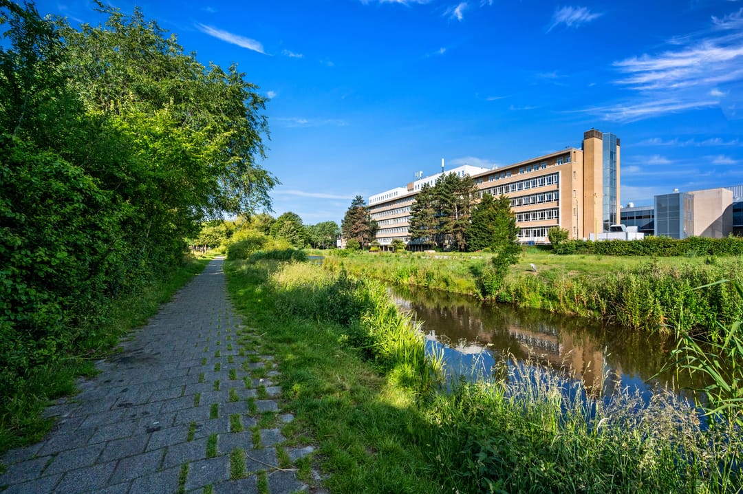 Foto 37 van Segbroeklaan 420-A