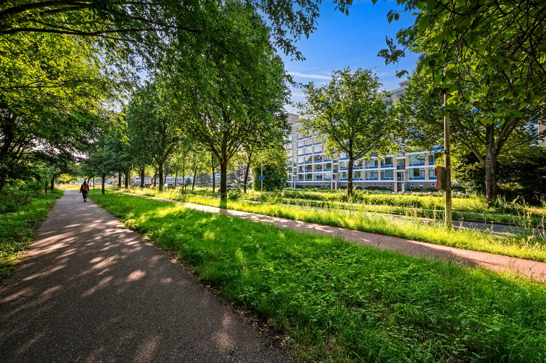 Foto 38 van Segbroeklaan 420-A