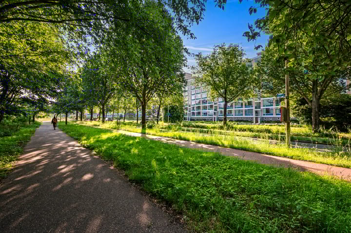 Foto 38 van Segbroeklaan 420-A