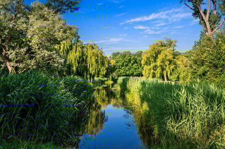 Foto 40 van Segbroeklaan 420-A