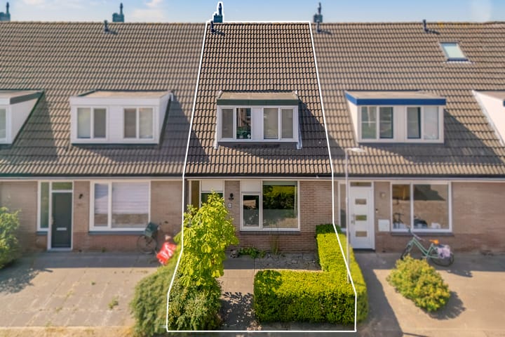 undefined main image